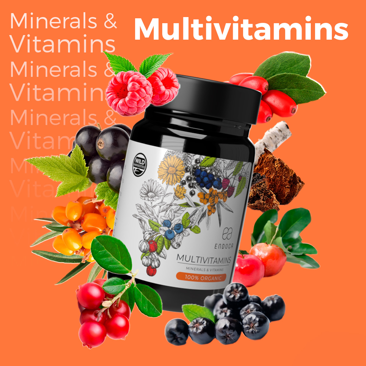 Multivitamine Organice Endoca – pudră plant-based cu vitamine, minerale și extracte botanice, 90 g - imagine 2